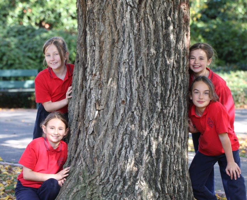 camberwell-primary-school-teaching-and-learning
